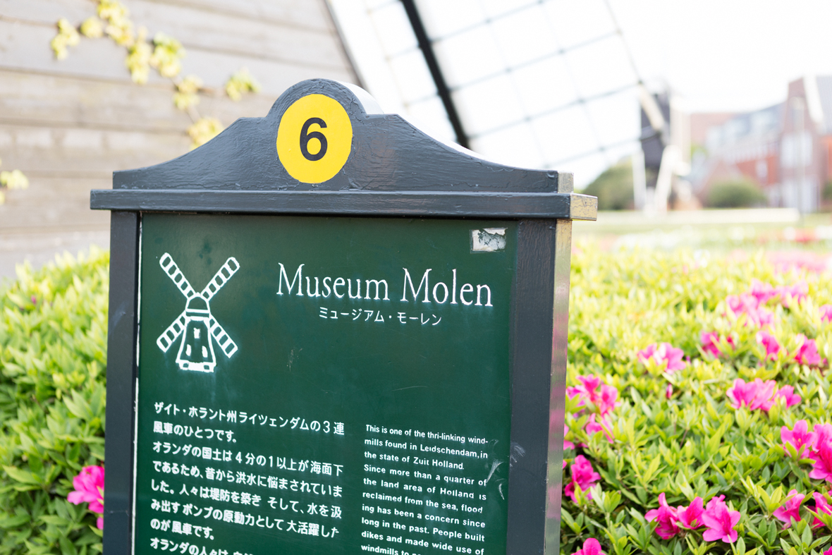 ToepsBlogHuisTenBosch-18