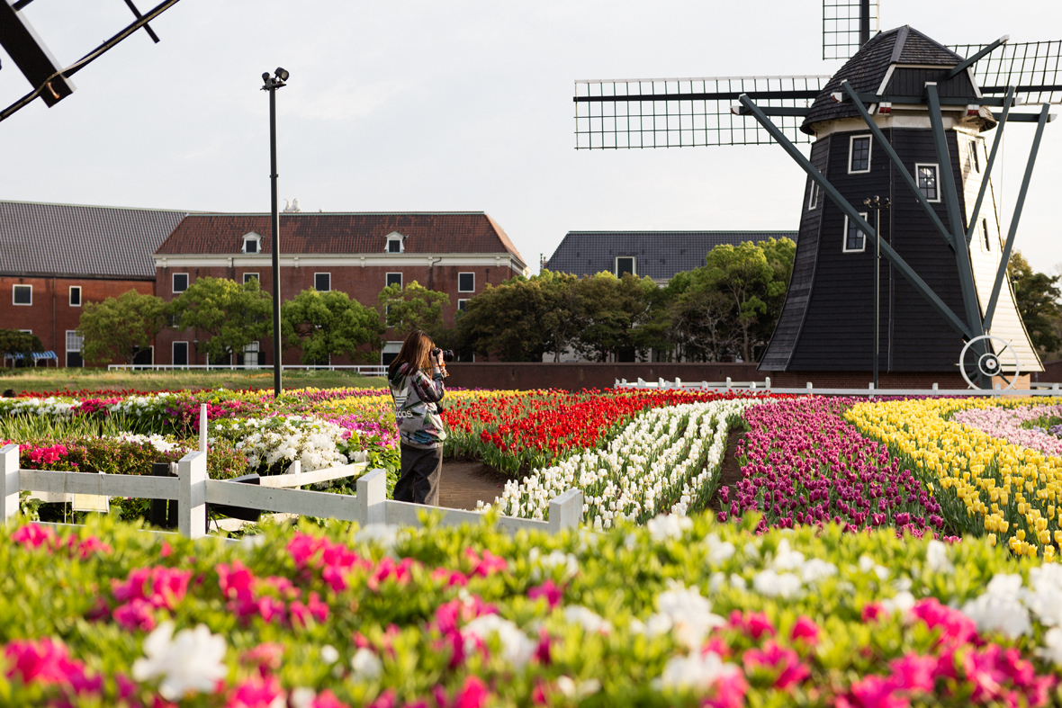 ToepsBlogHuisTenBosch-19