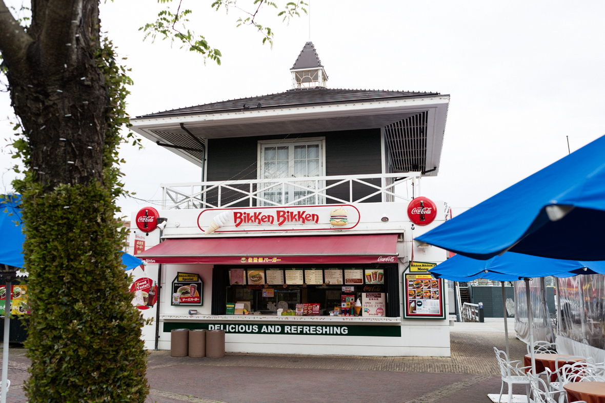 ToepsBlogHuisTenBosch-2