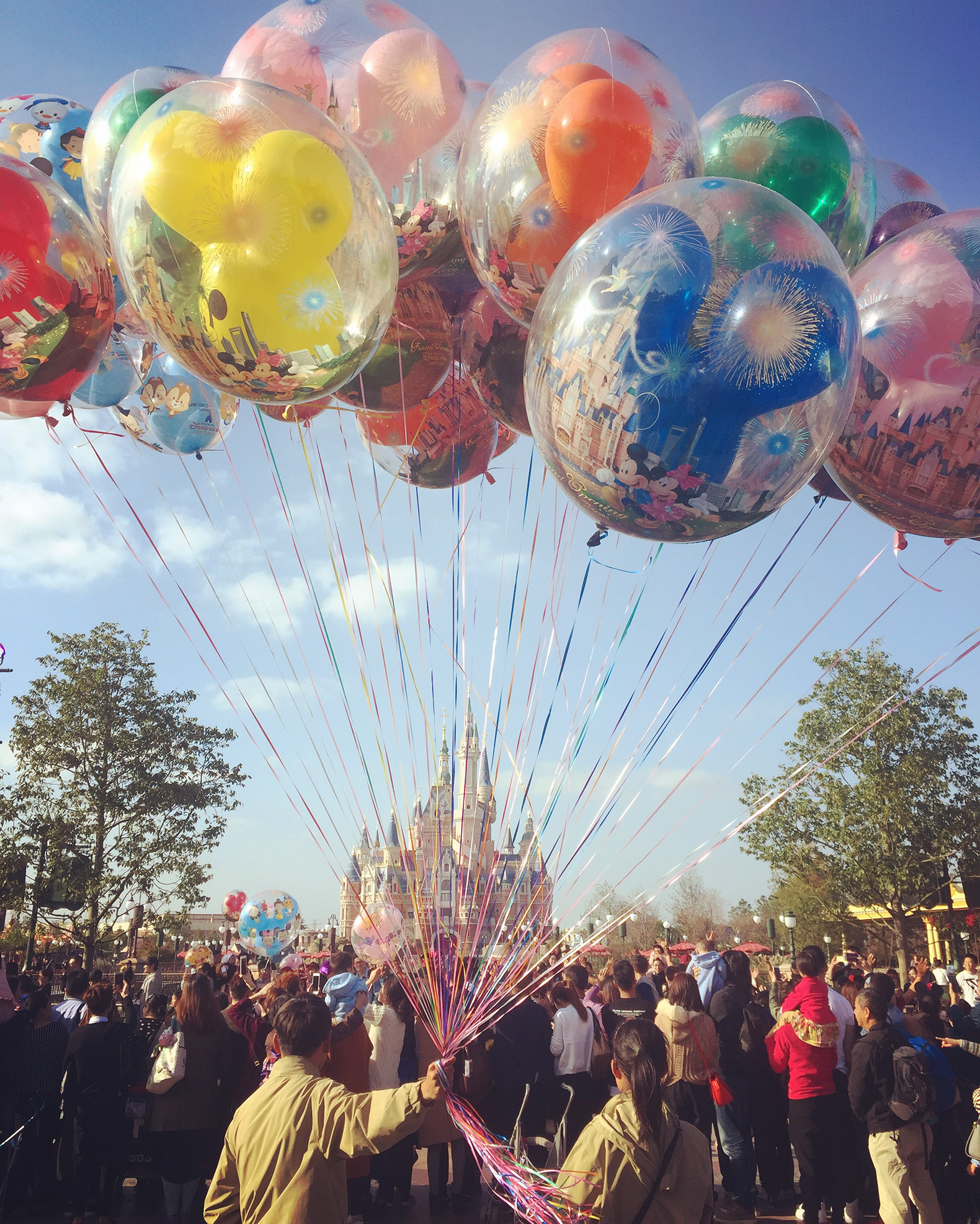 toepsshanghaidisneyland-2e