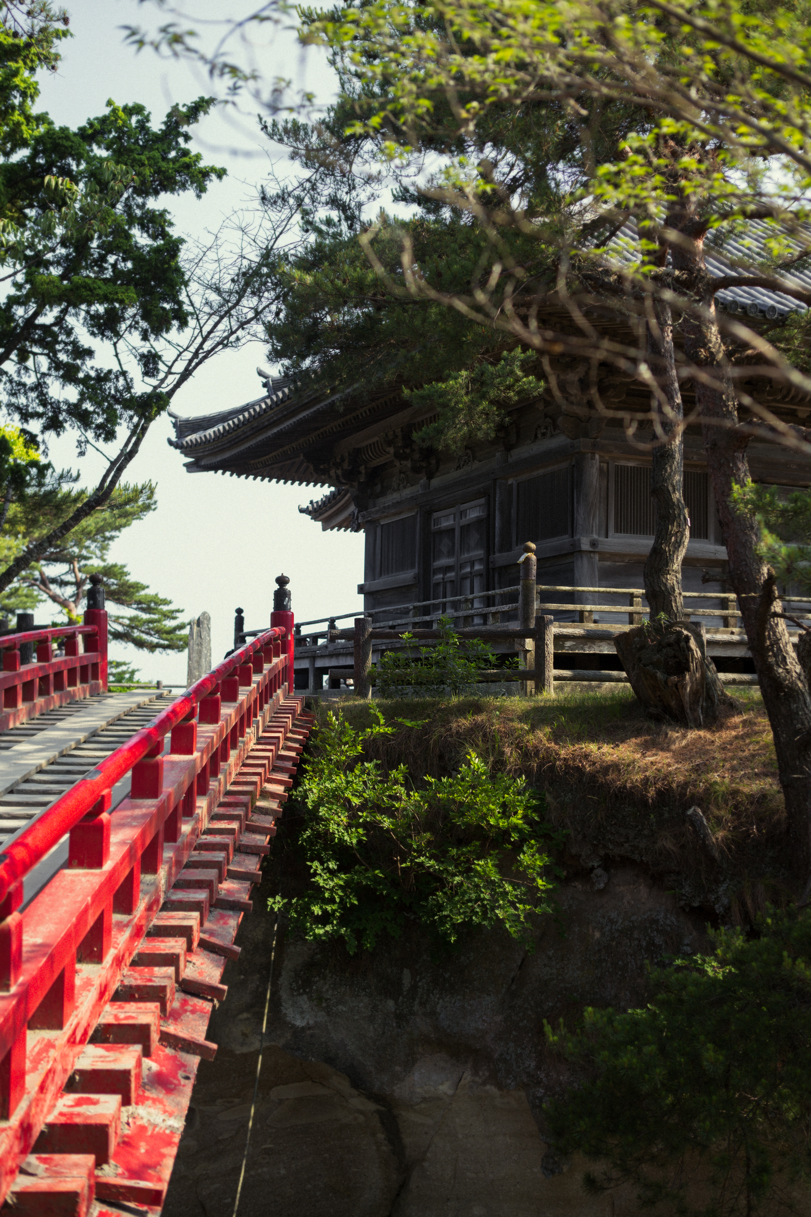 ToepsMatsushima-1