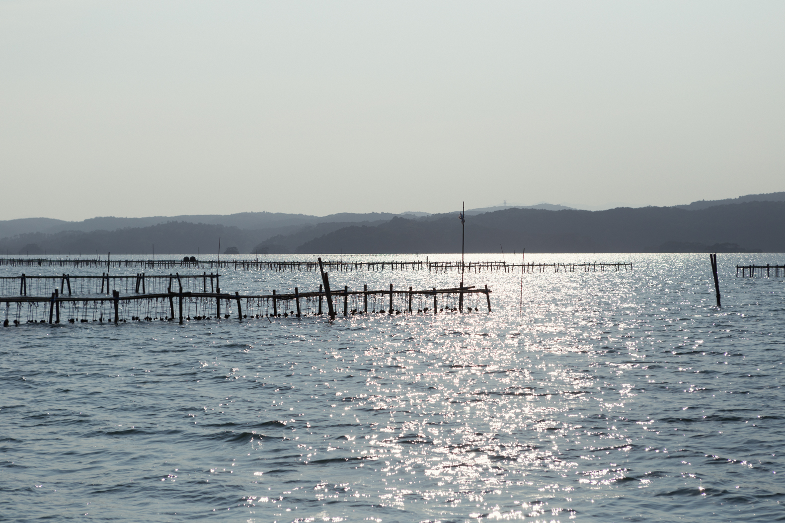 ToepsMatsushima-12