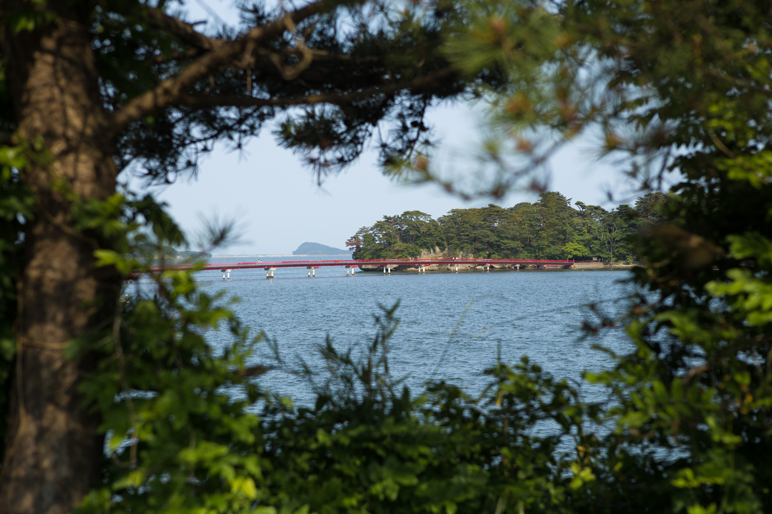ToepsMatsushima-2