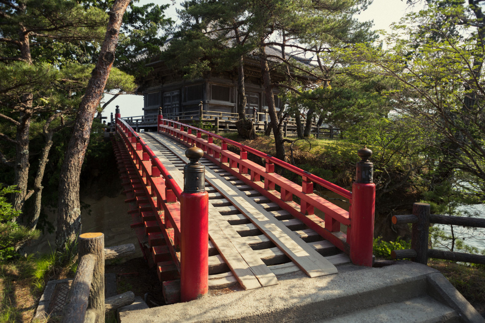 ToepsMatsushima-3