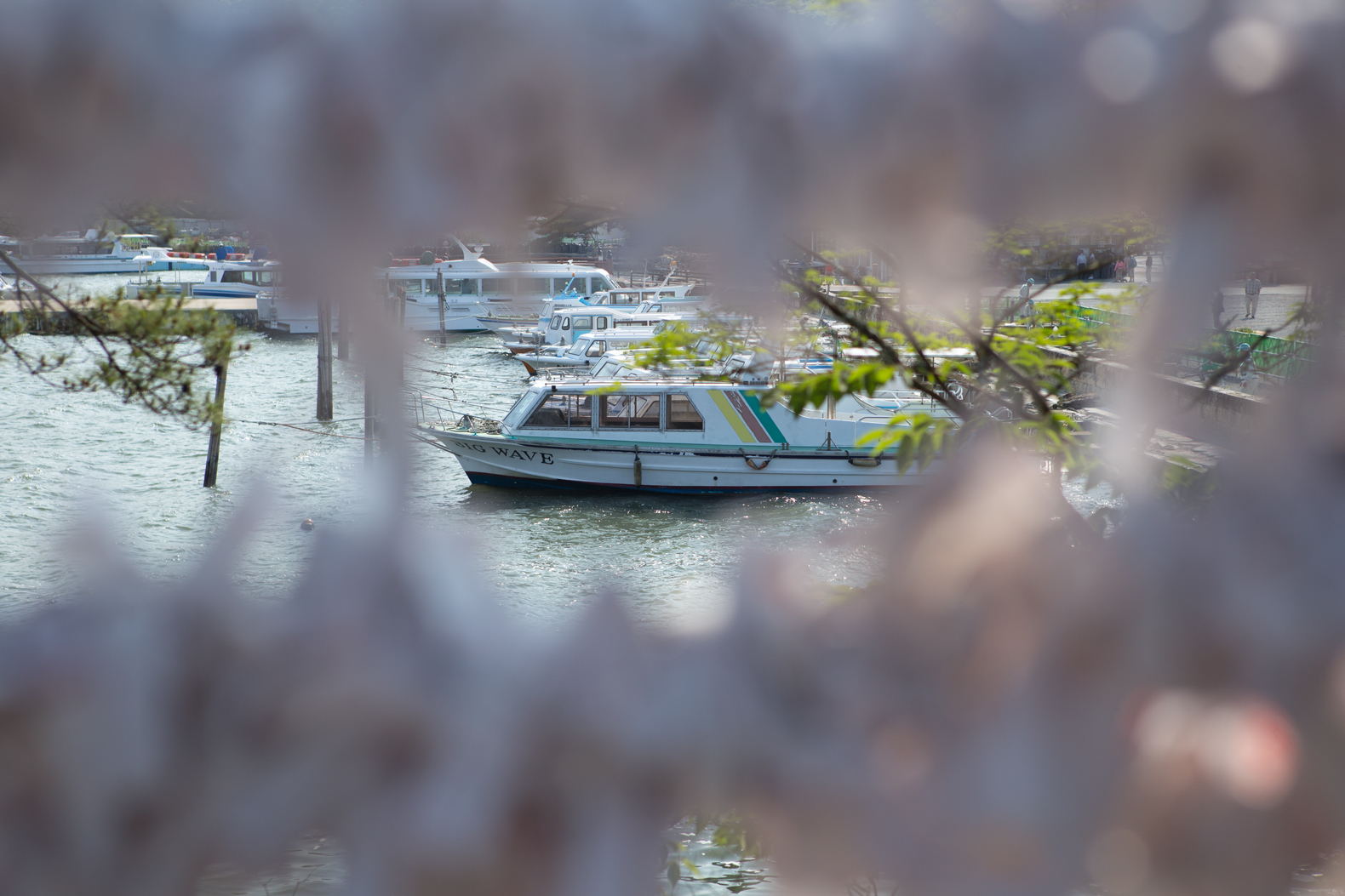 ToepsMatsushima-4