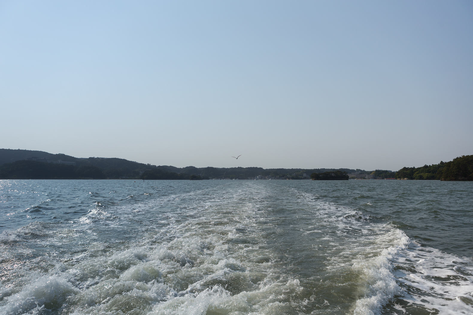 ToepsMatsushima-5